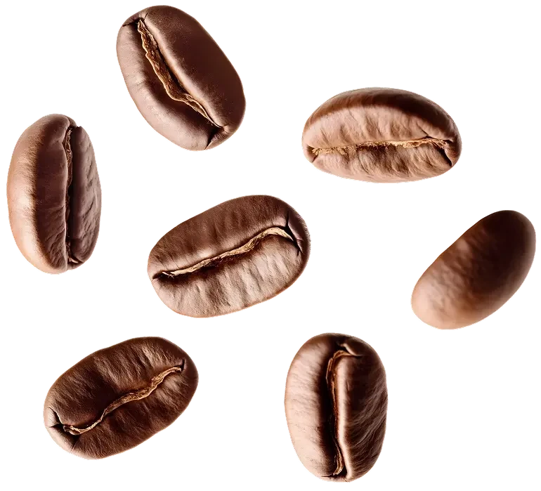 Coffee Beans Image